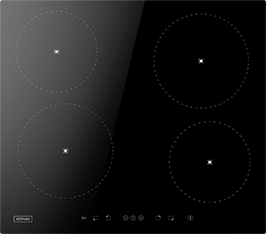 Induktionsfeld Reparatur Arnstadt
